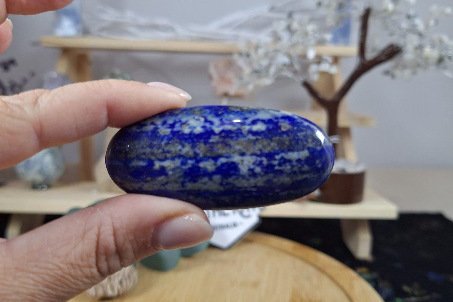 Lapis Lazuli Palm 