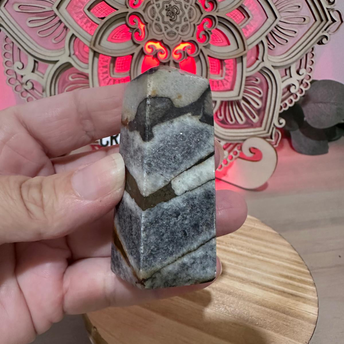 Shell Jasper 