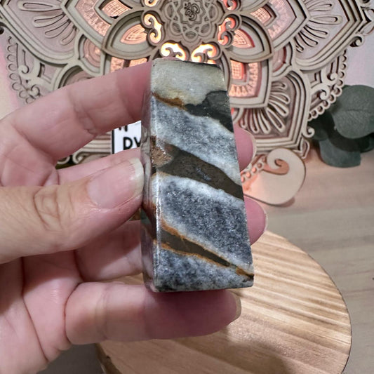 Shell Jasper 