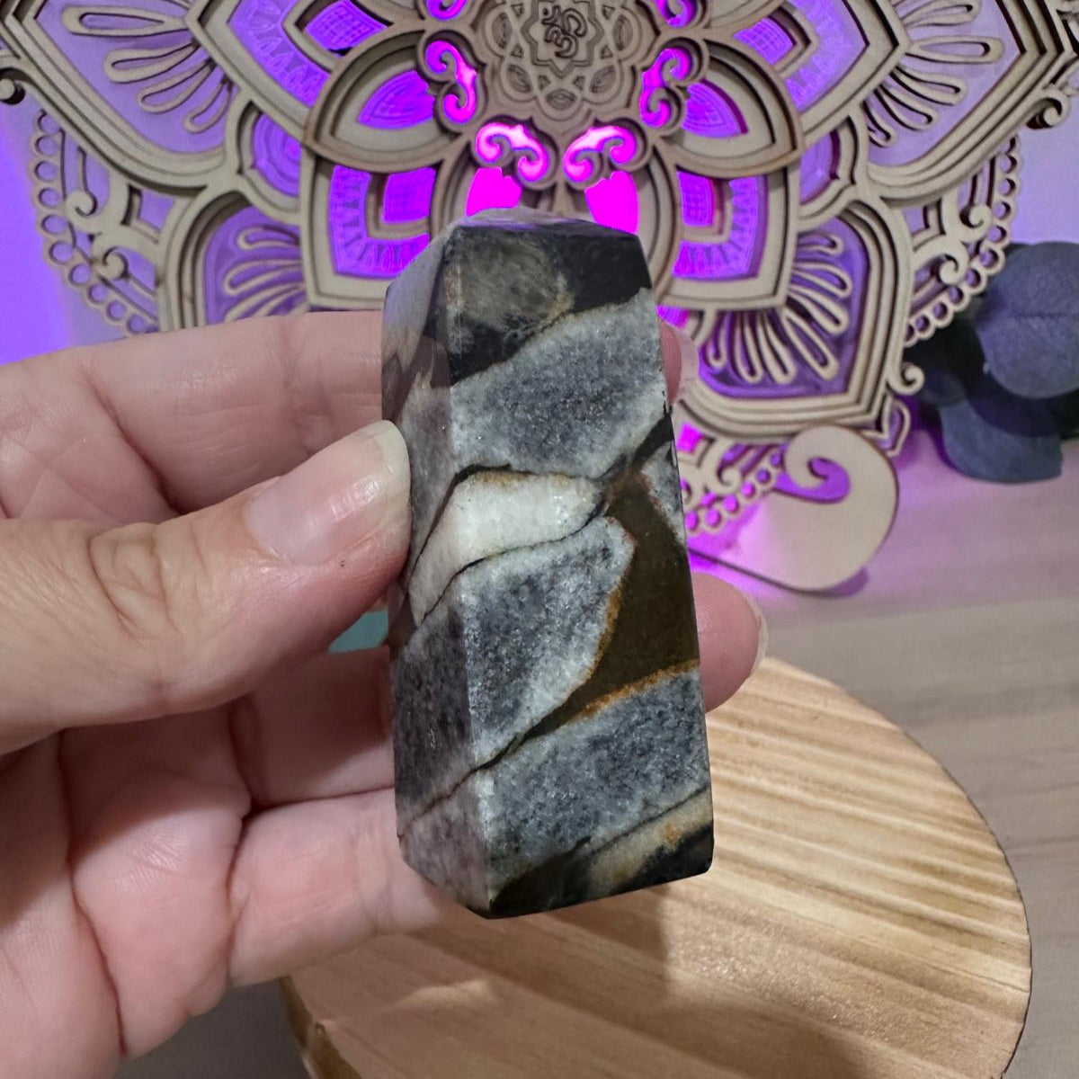 Shell Jasper 