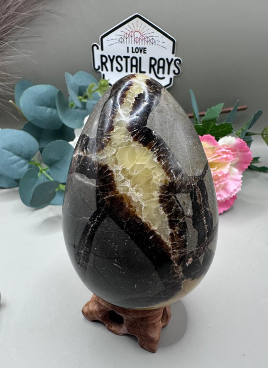Septarian Dragon Egg