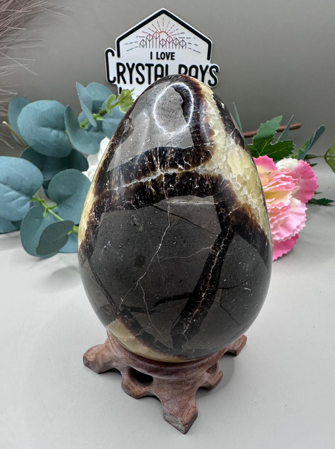 Septarian Dragon Egg