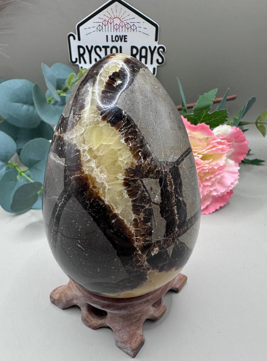 Septarian Dragon Egg