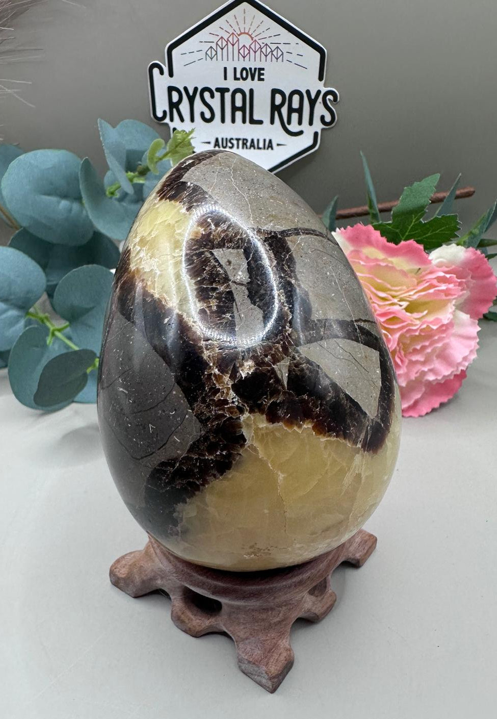 Septarian Dragon Egg
