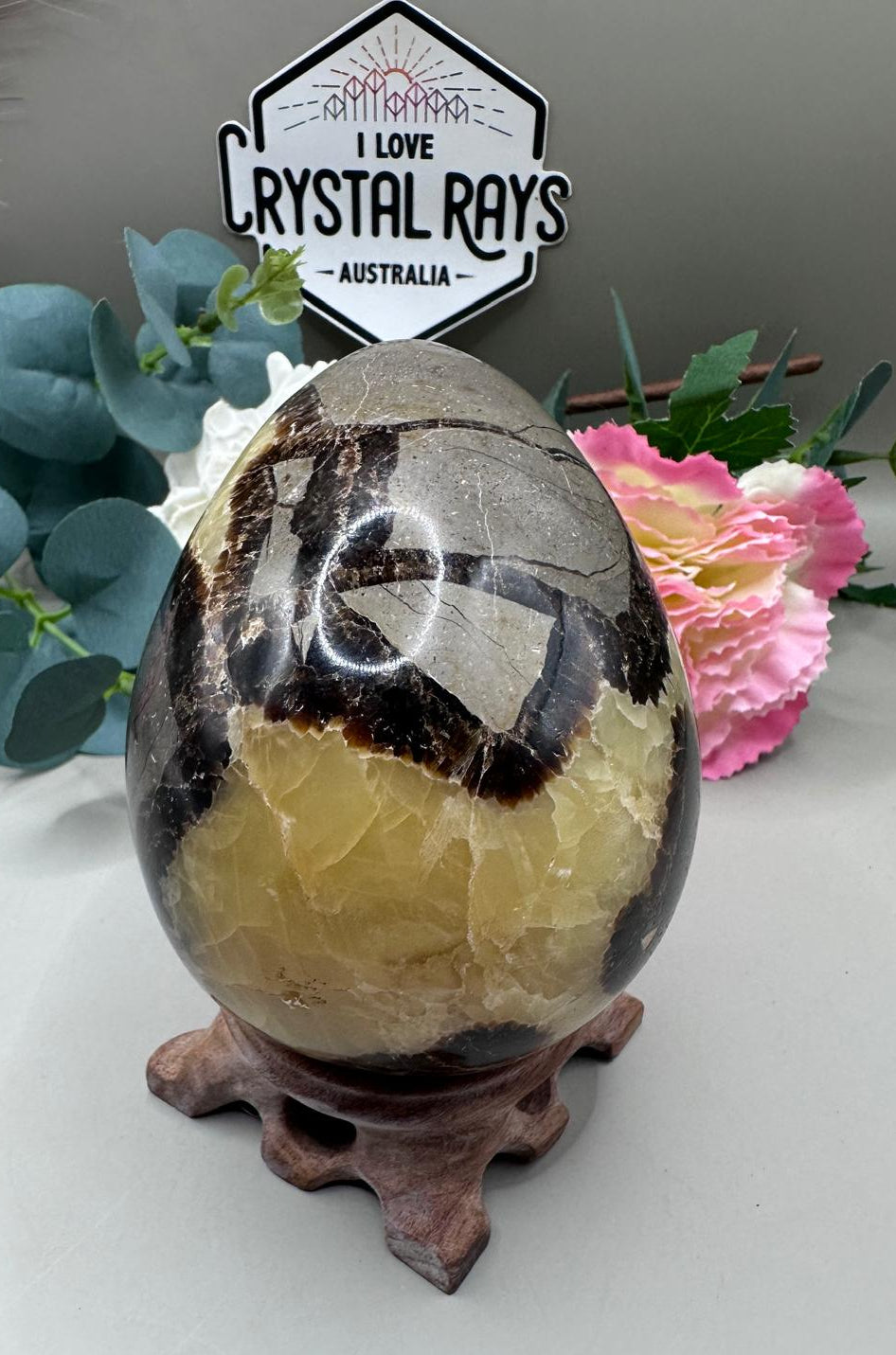 Septarian Dragon Egg