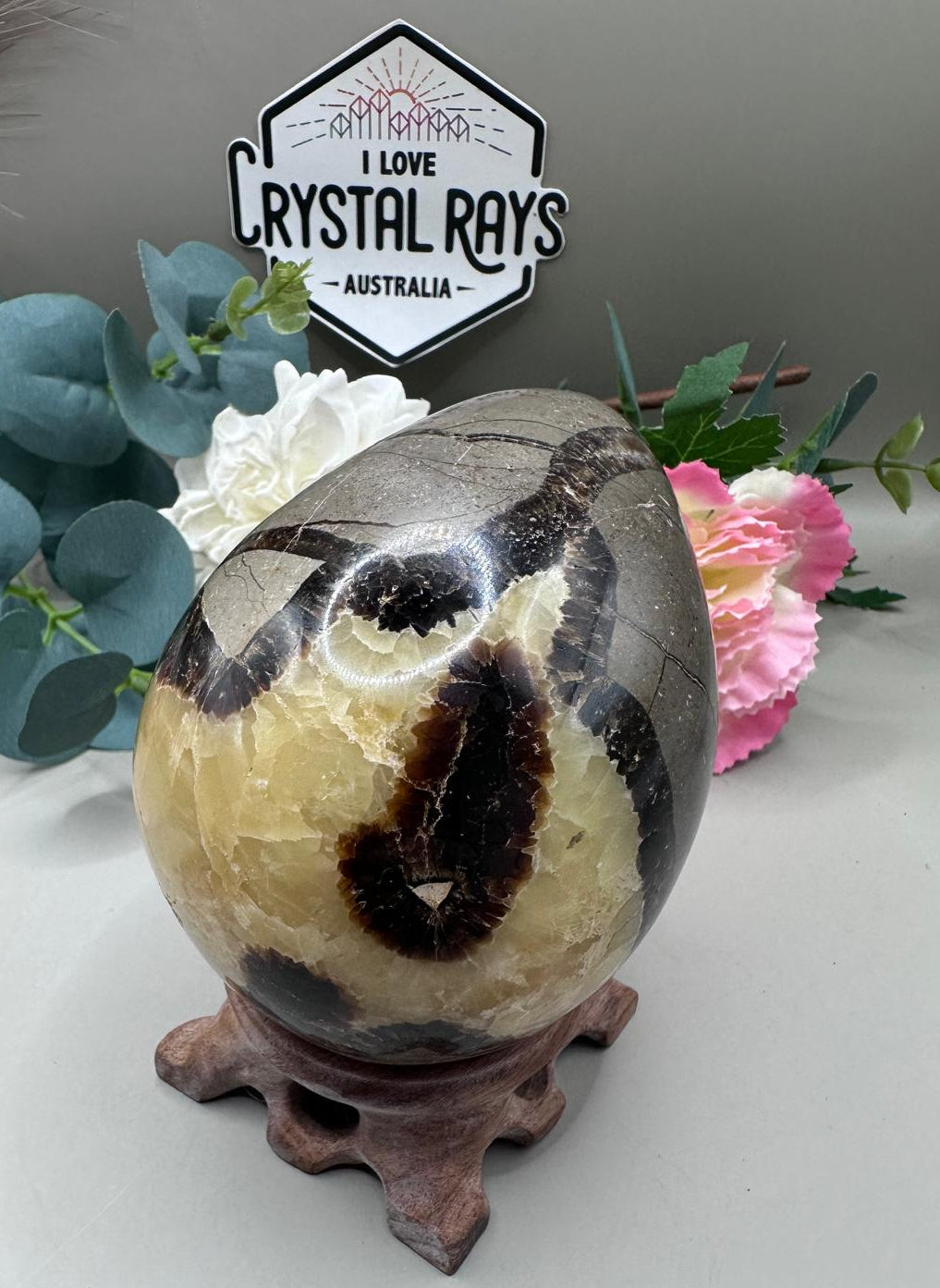 Septarian Dragon Egg