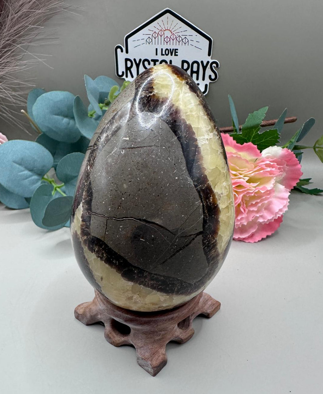 Septarian Dragon Egg