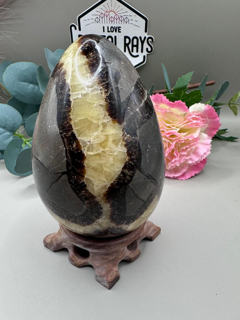 Septarian Dragon Egg