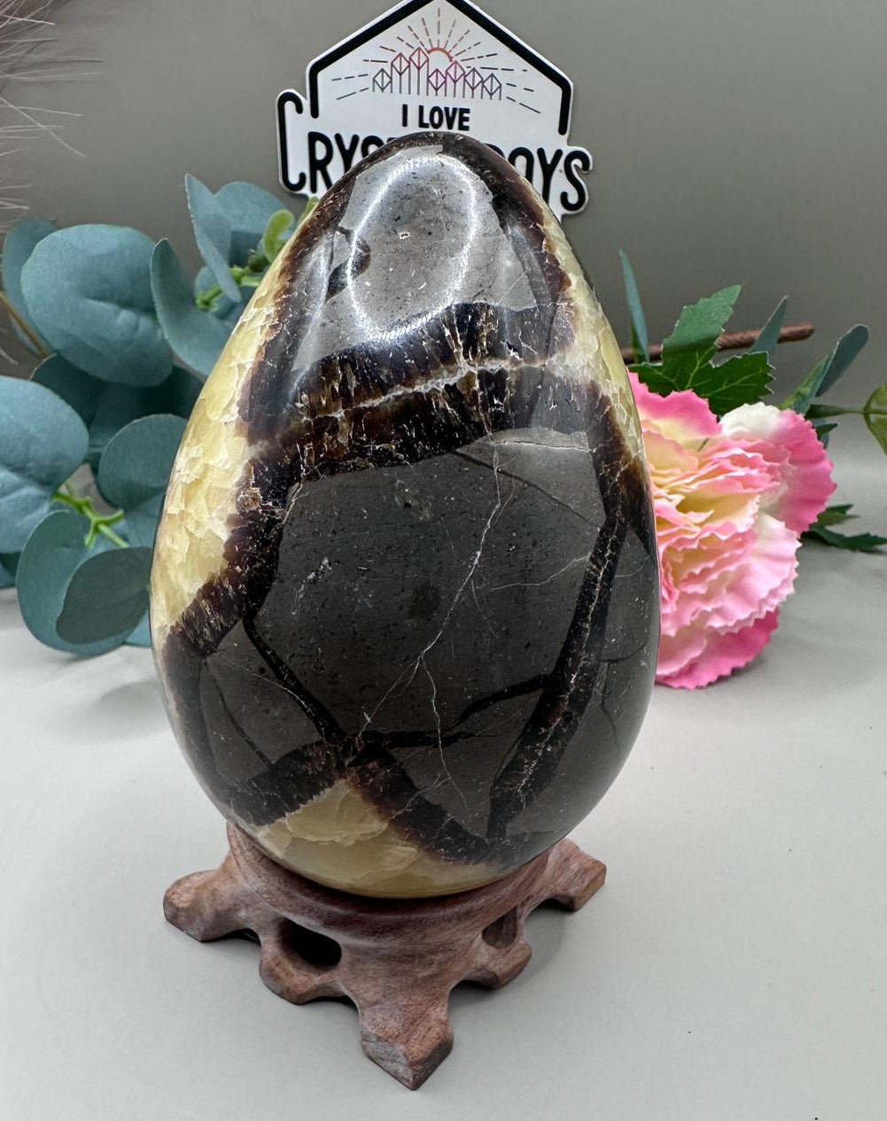 Septarian Dragon Egg