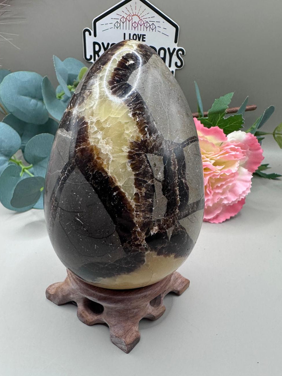 Septarian Dragon Egg