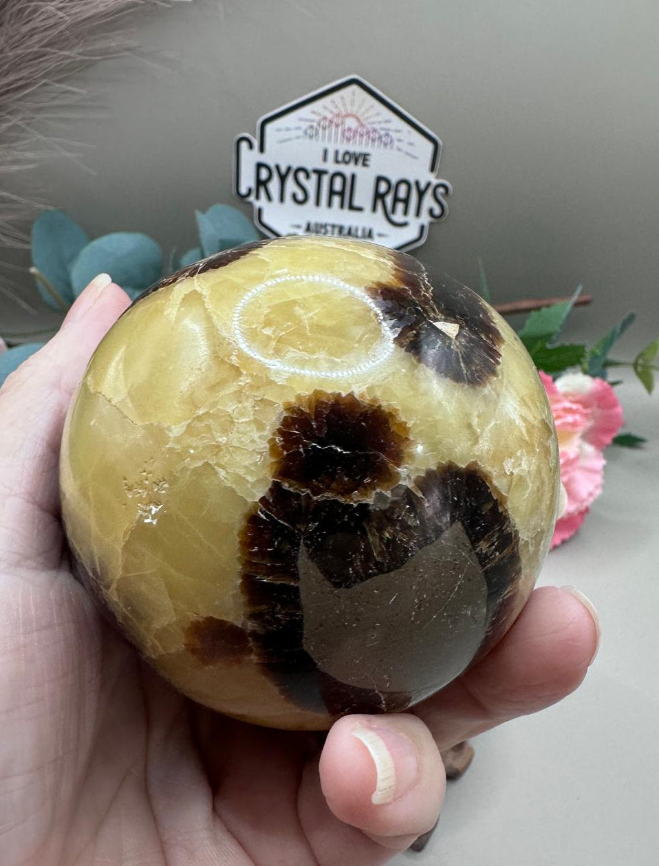 Septarian Dragon Egg