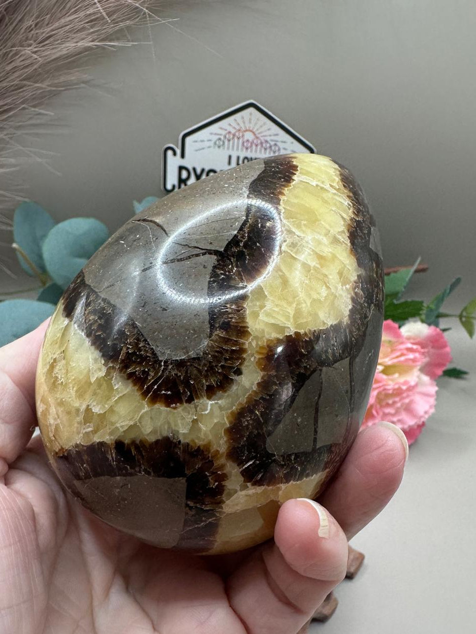 Septarian Dragon Egg