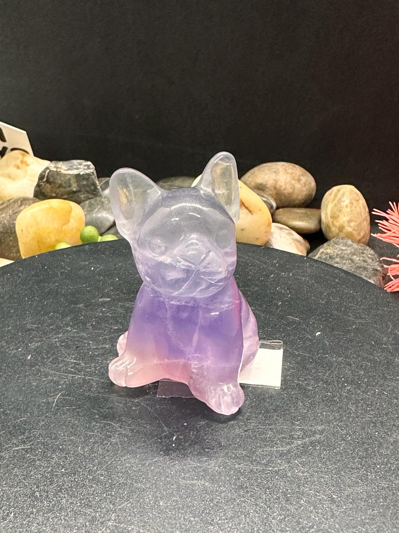 Fluorite French Bull Dog