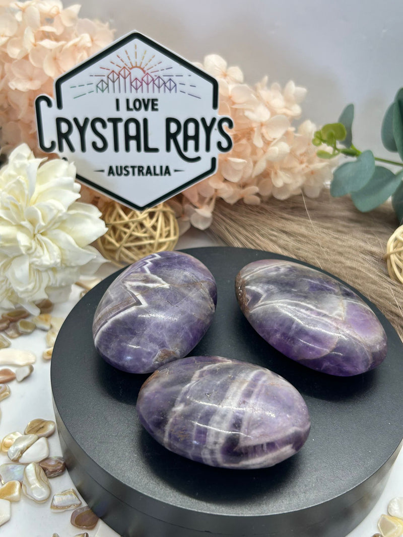 Dream Amethyst Palm