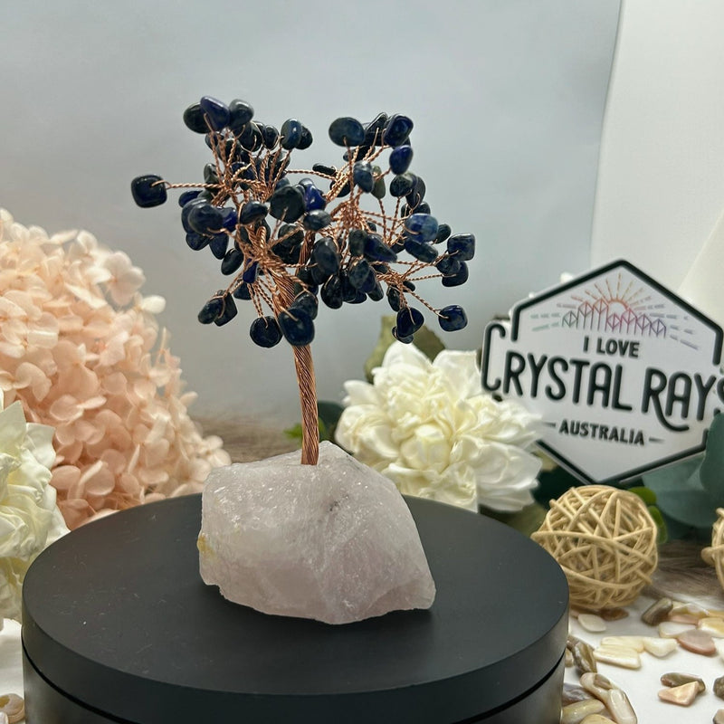 Lapis Lazuli tree on Raw Rose Quartz base