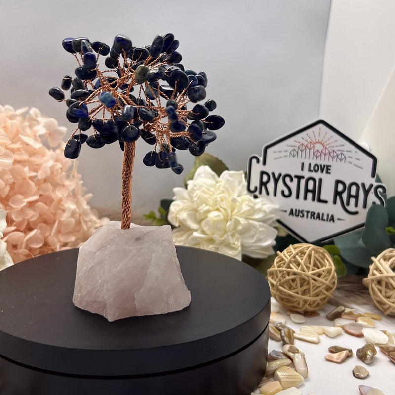 Lapis Lazuli tree on Raw Rose Quartz base