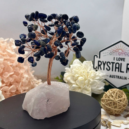 Lapis Lazuli chip tree & Raw Rose Quartz base 180g
