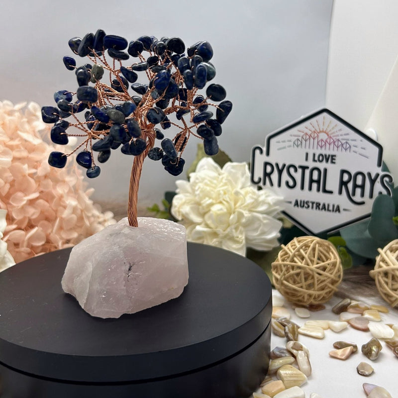 Lapis Lazuli tree on Raw Rose Quartz base