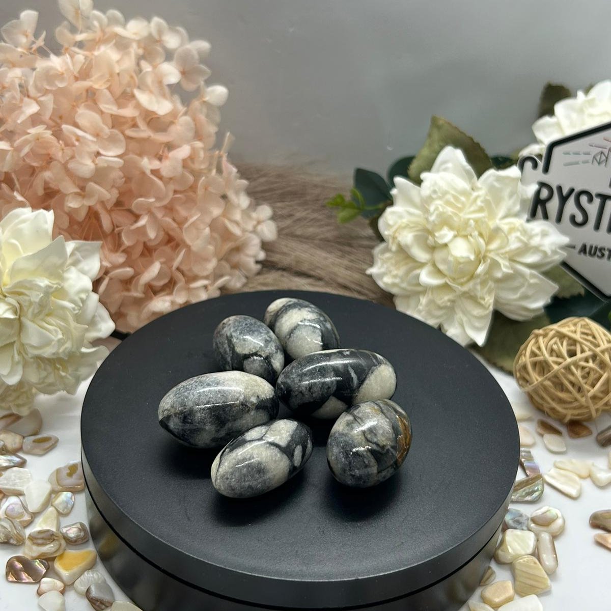 Shell Jasper