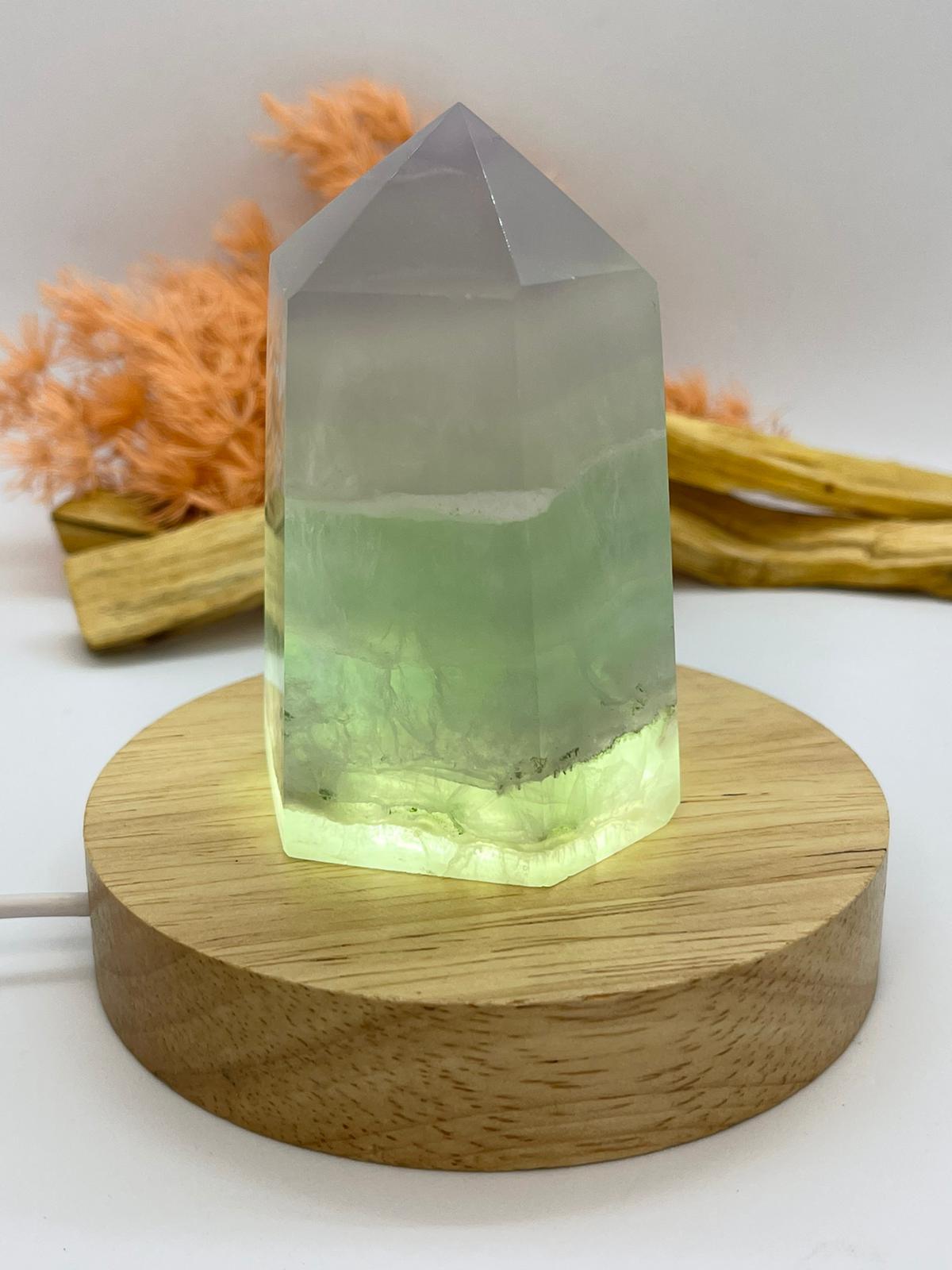 LED Light Display White Small