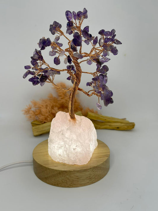 LED Light Display White Small