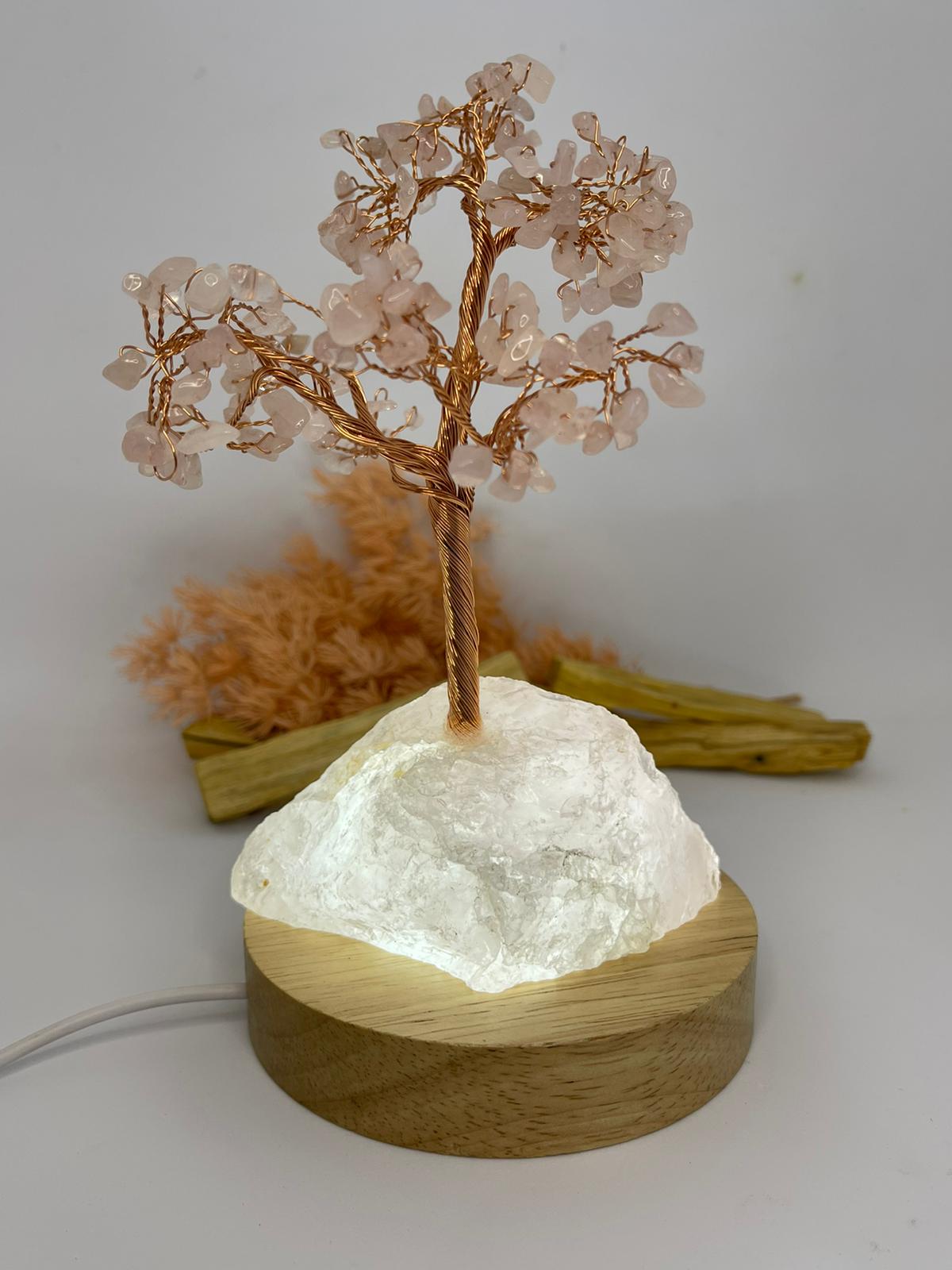 LED Light Display White Small