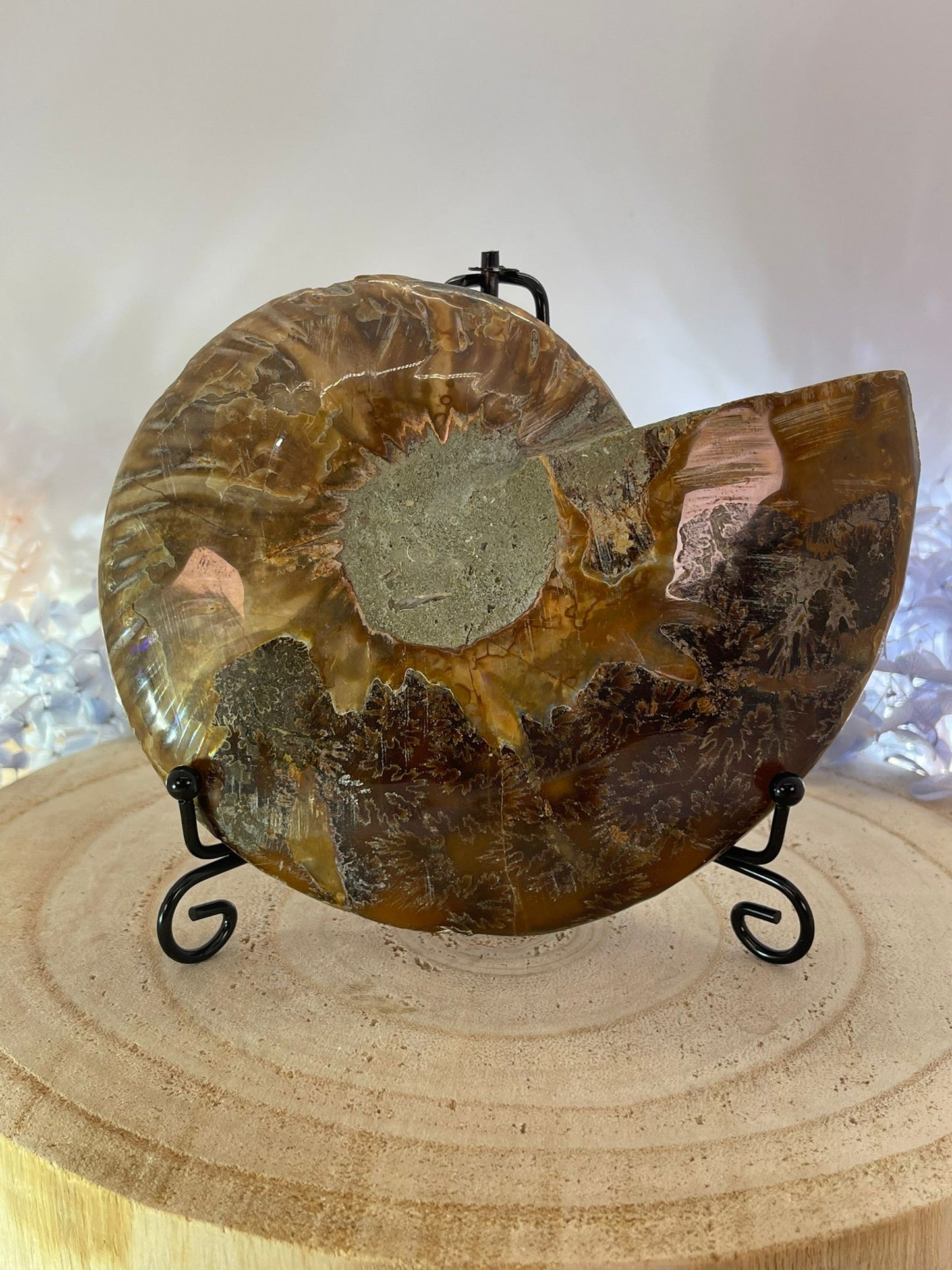 Metal Specimen Stand (SMALL)
