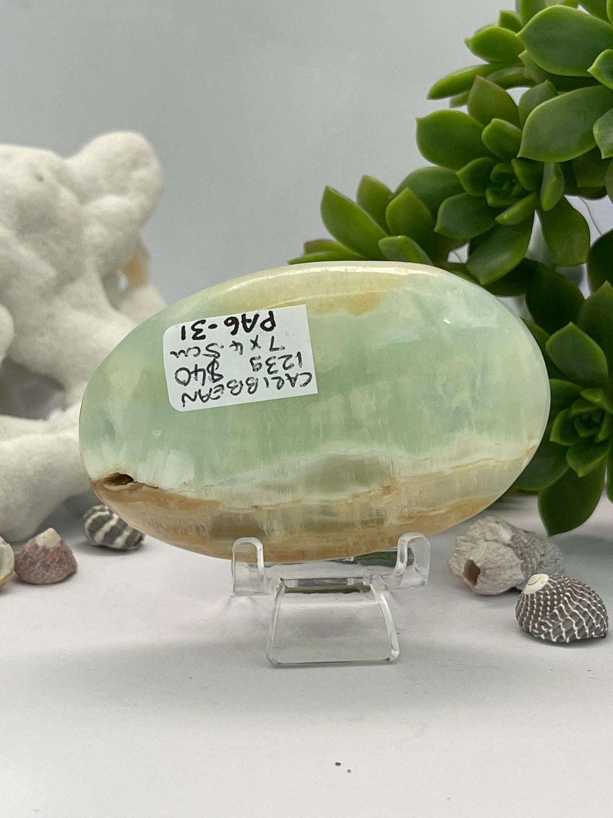 Caribbean Calcite Palm