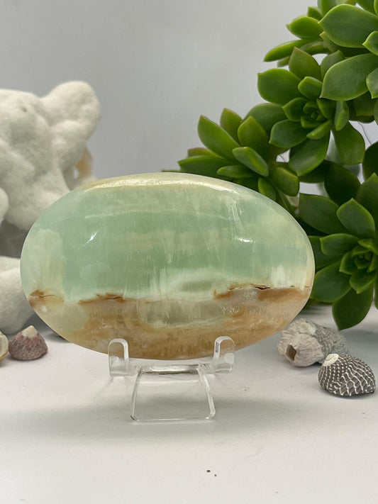 Caribbean Calcite Palm