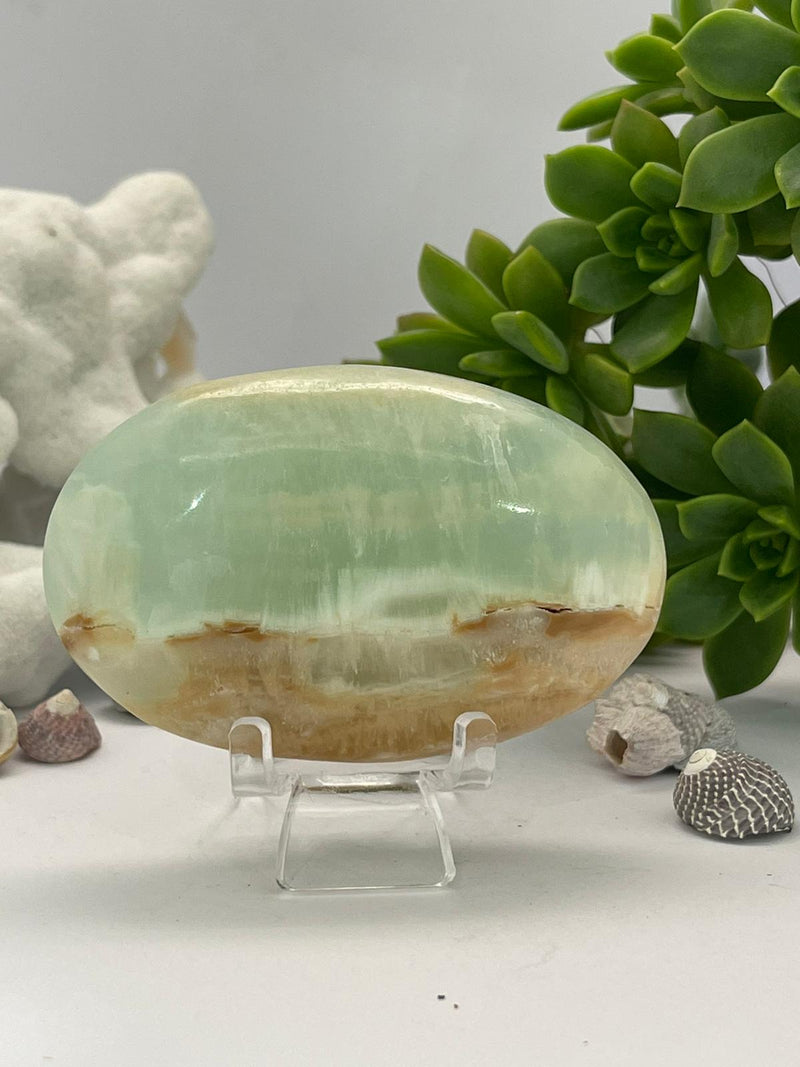 Caribbean Blue Calcite Palm Stone