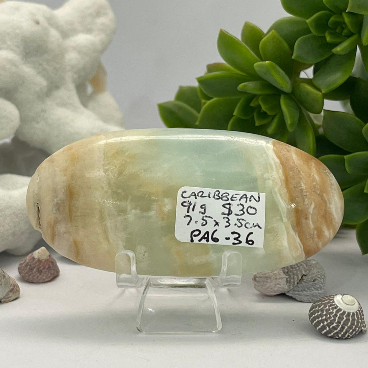 🌊💙 Caribbean Blue Calcite ~ Palm Stone