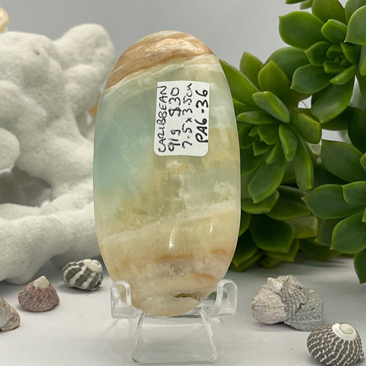 🌊💙 Caribbean Blue Calcite ~ Palm Stone