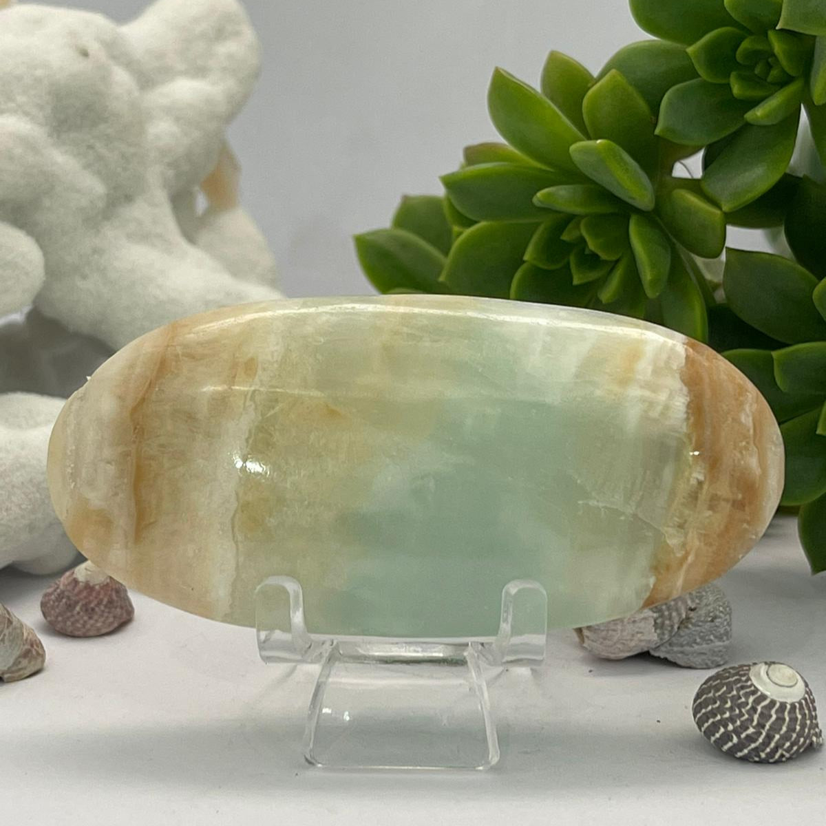 🌊💙 Caribbean Blue Calcite ~ Palm Stone