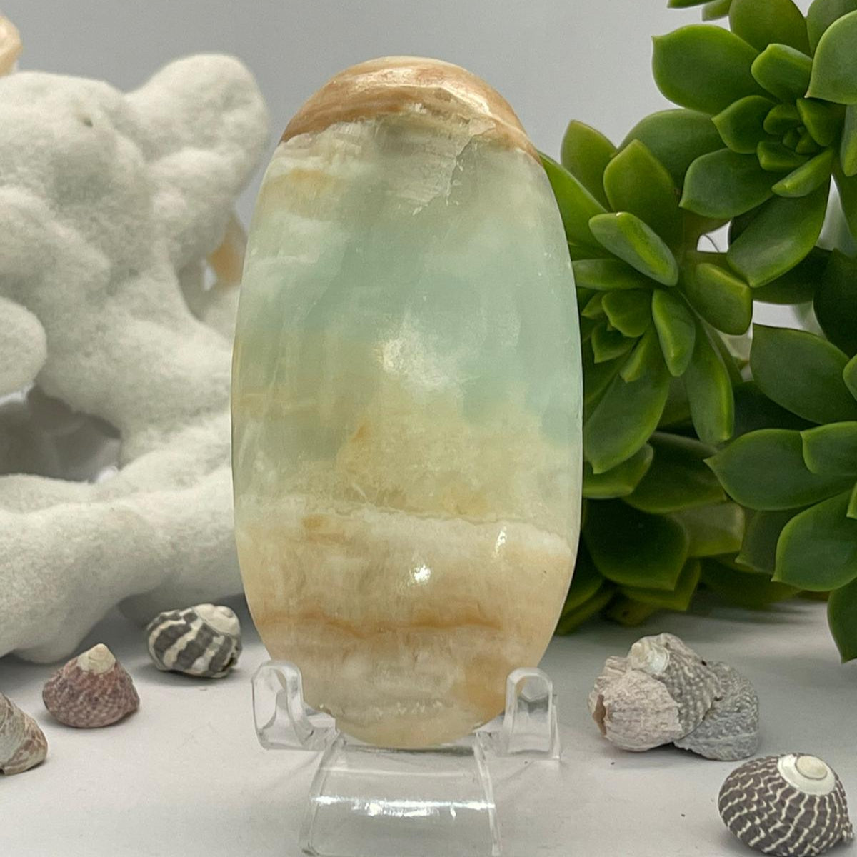 🌊💙 Caribbean Blue Calcite ~ Palm Stone