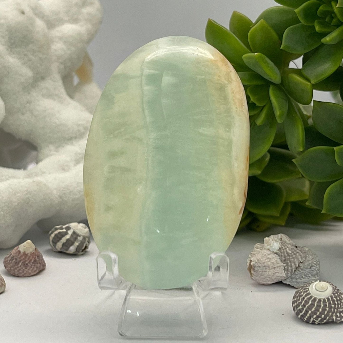 Caribbean Blue Calcite ~ Palm stone