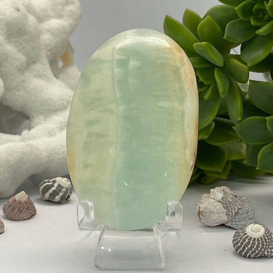 Caribbean Blue Calcite ~ Palm stone