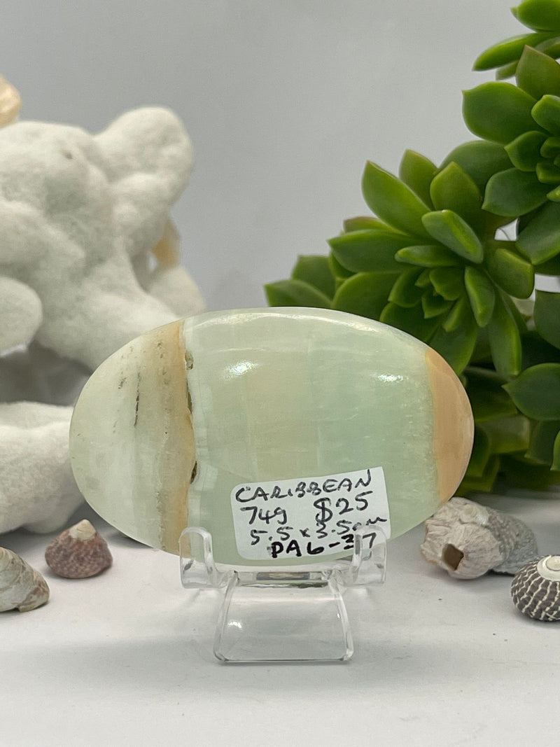 Caribbean Calcite Palm 74g