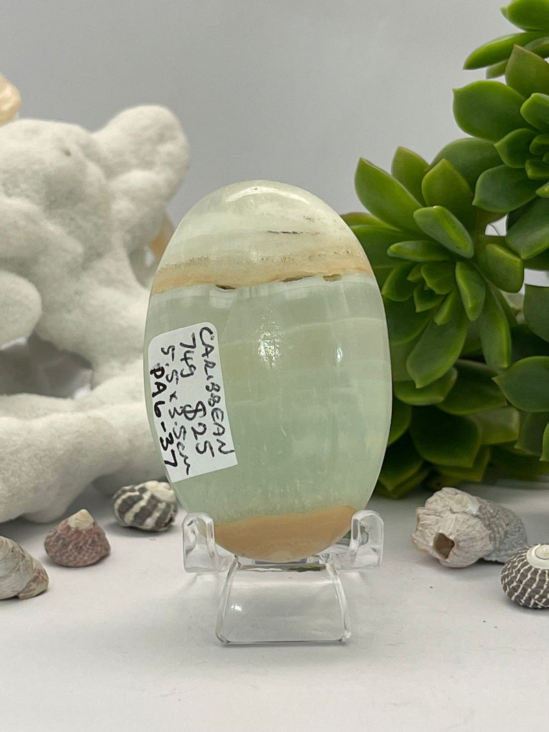 Caribbean Calcite Palm 74g