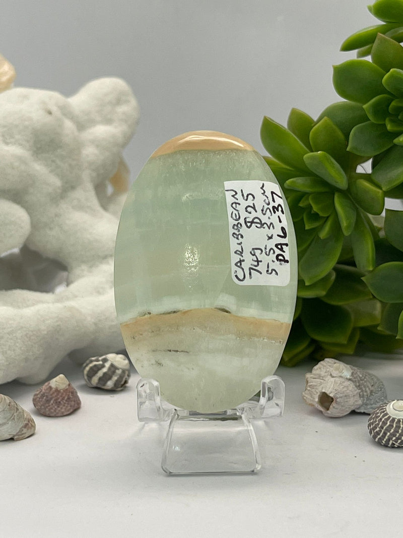 Caribbean Calcite Palm 74g