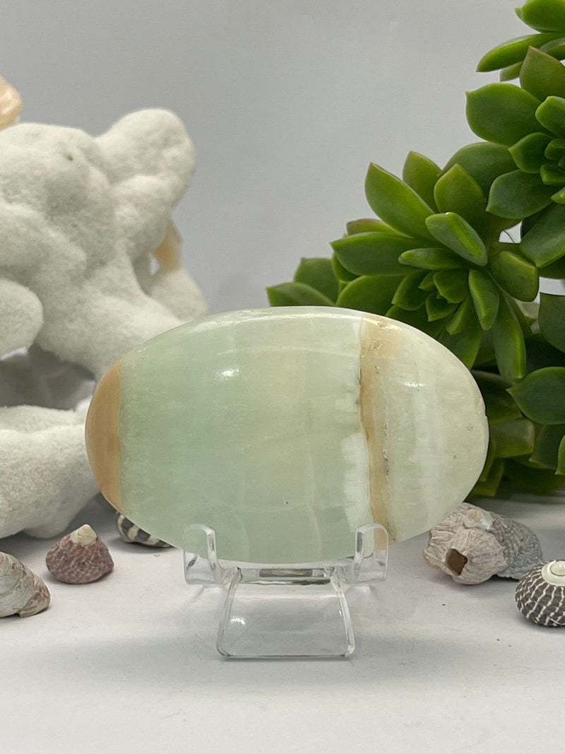 Caribbean Calcite Palm 74g