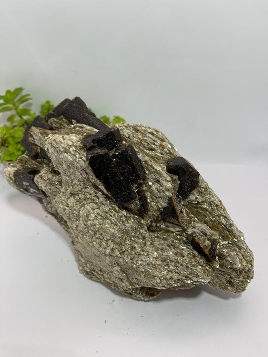 Brown Dravite + Mica & Blue Apatite Inclusions 1937g