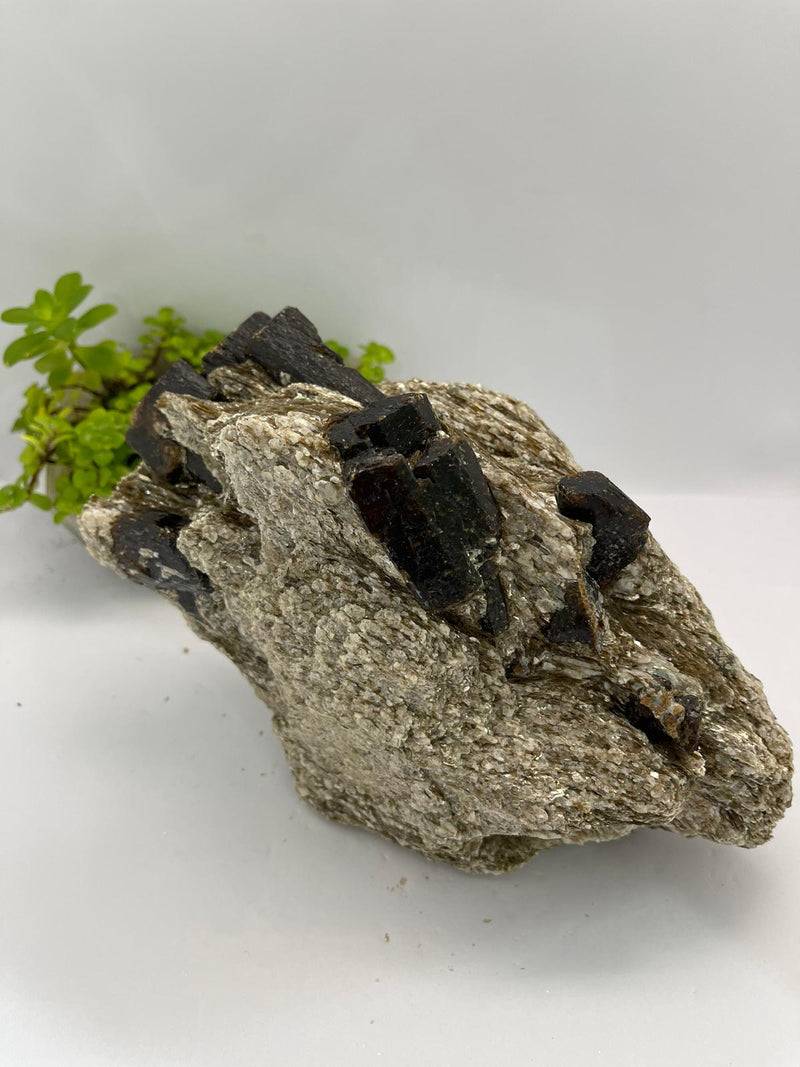 Brown Dravite with Mica and Blue Apatite Inclusions