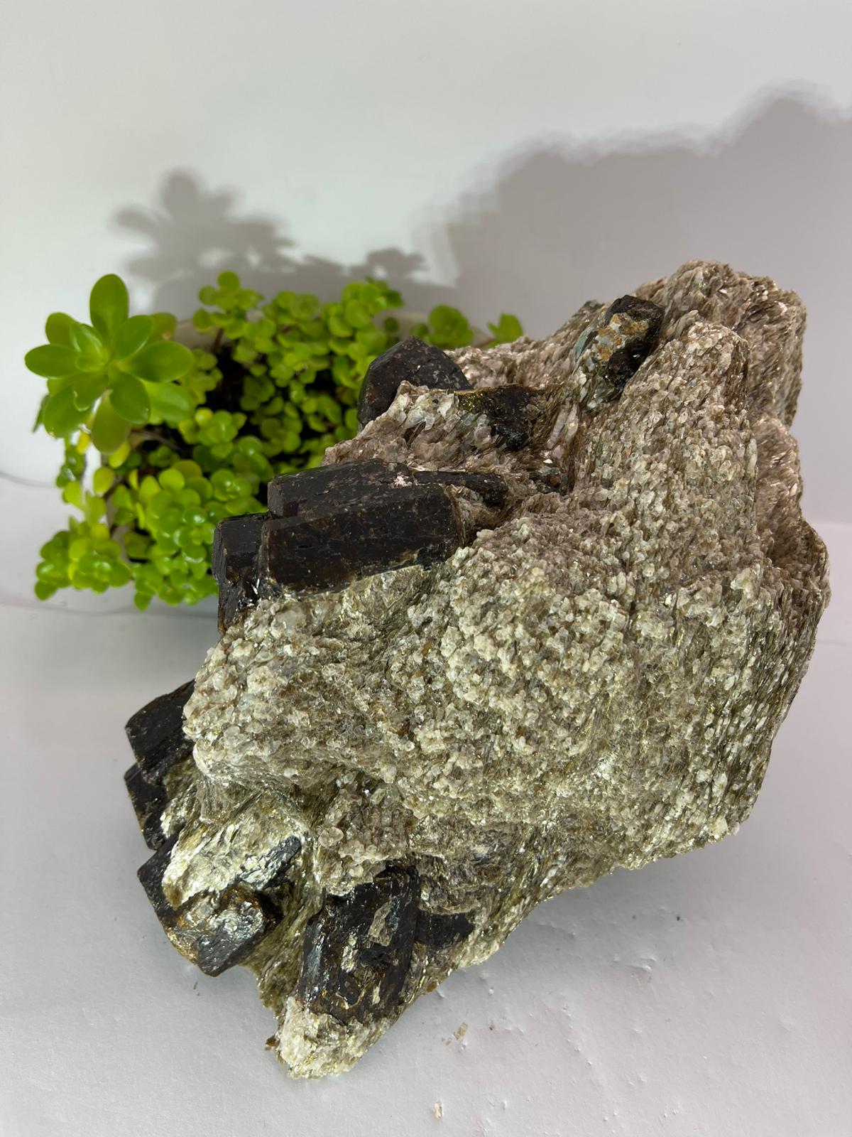 Brown Dravite + Mica & Blue Apatite Inclusions 1937g
