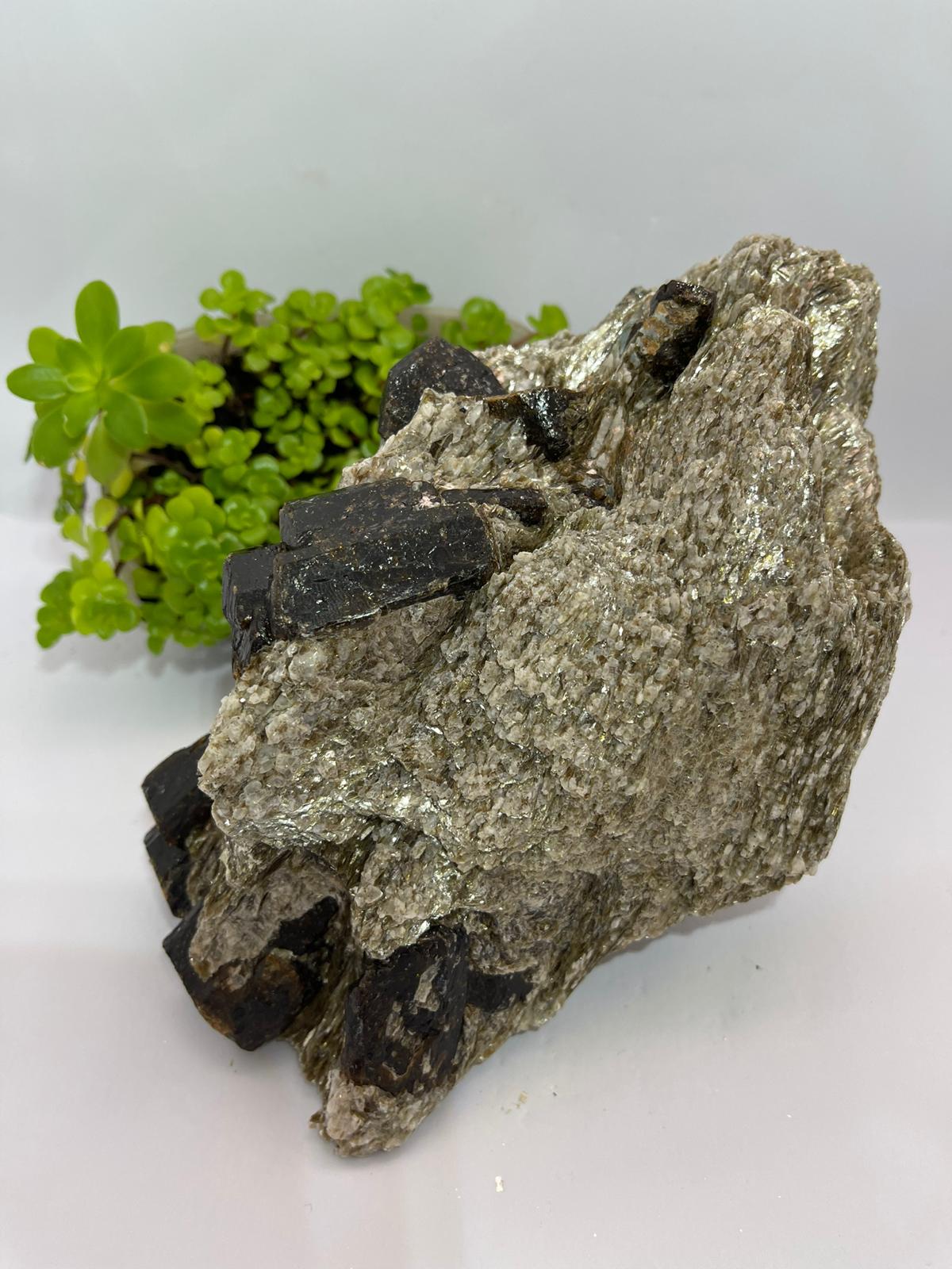 Brown Dravite + Mica & Blue Apatite Inclusions 1937g