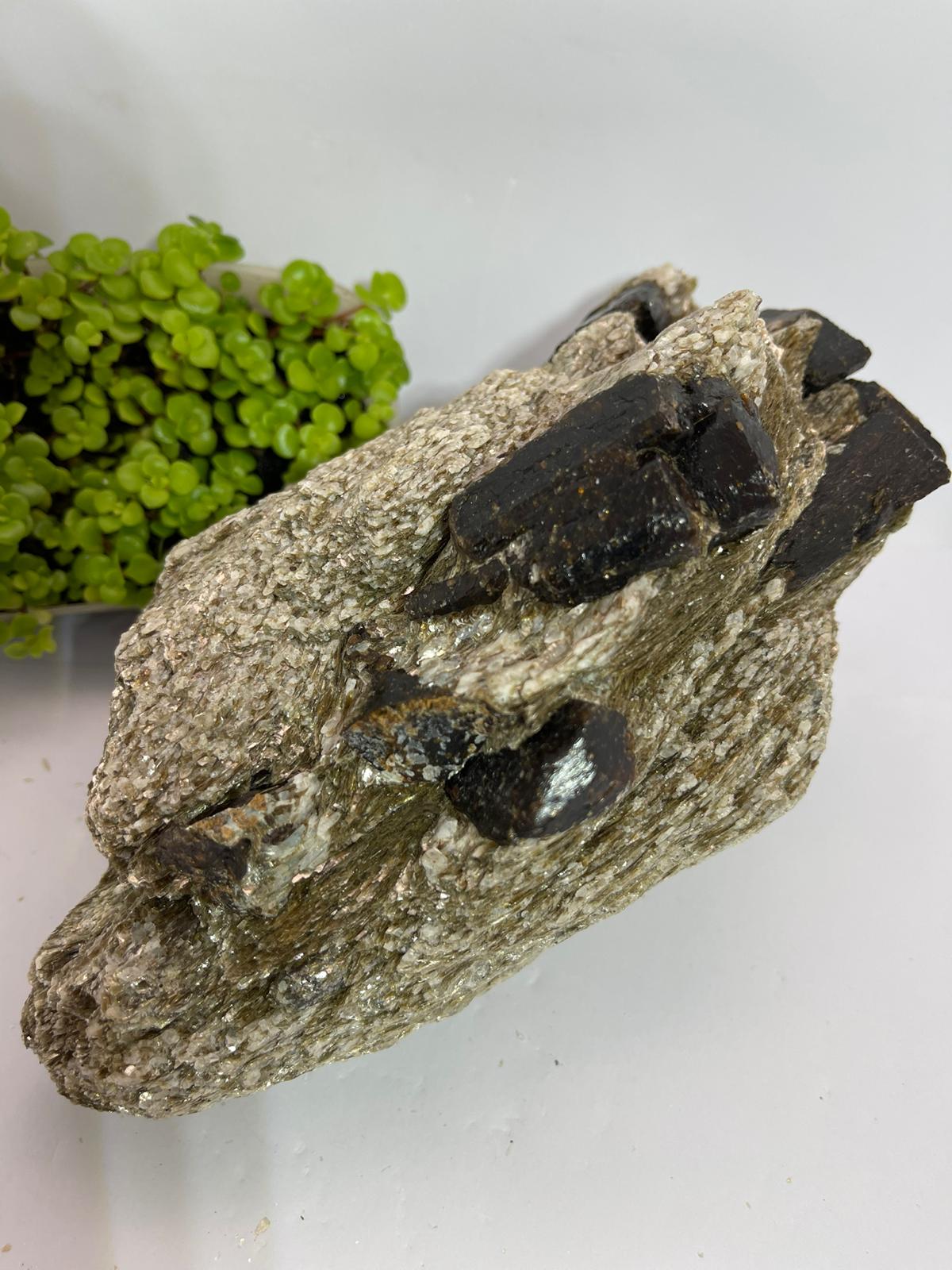 Brown Dravite + Mica & Blue Apatite Inclusions 1937g