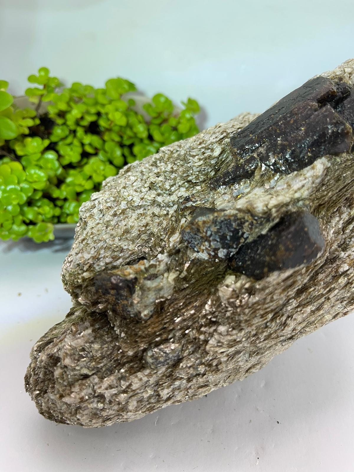 Brown Dravite + Mica & Blue Apatite Inclusions 1937g