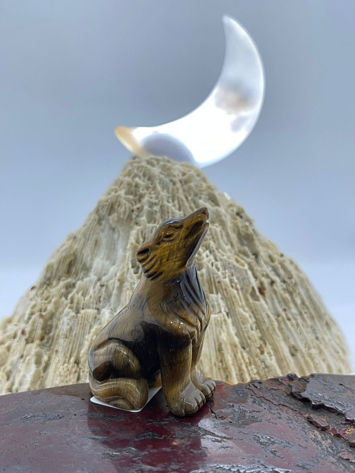 Tigers Eye Wolf