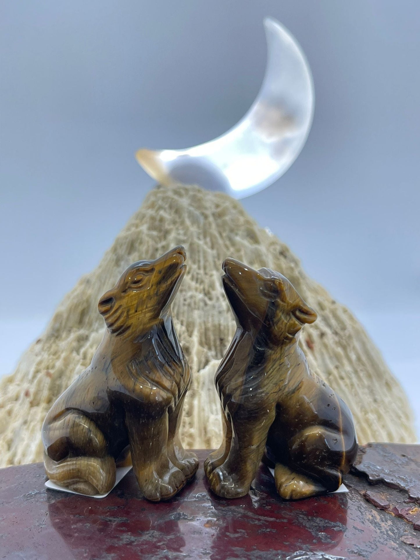 Tigers Eye Wolf