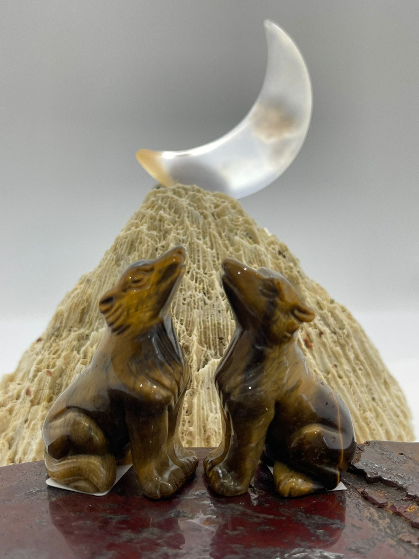 Tigers Eye Wolf
